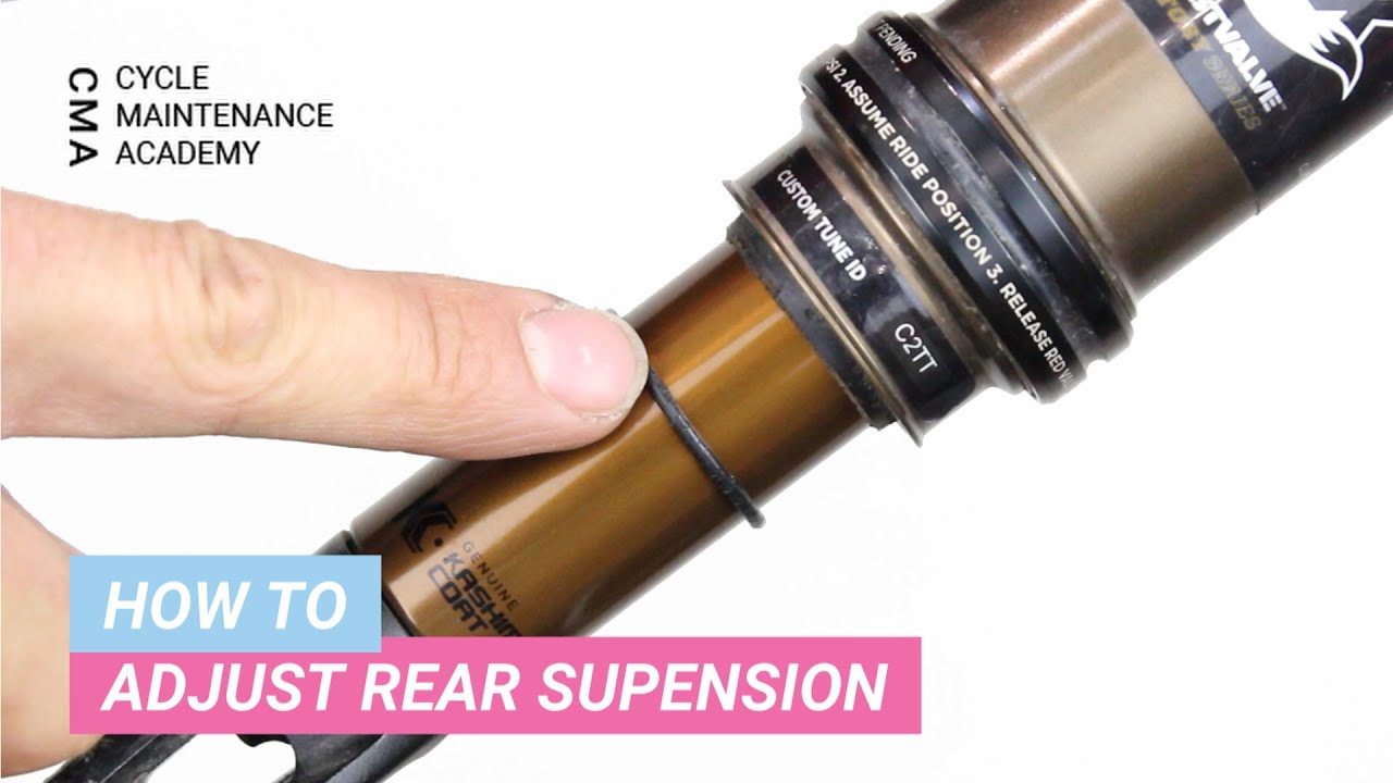 Mtb rear shock maintenance new arrivals